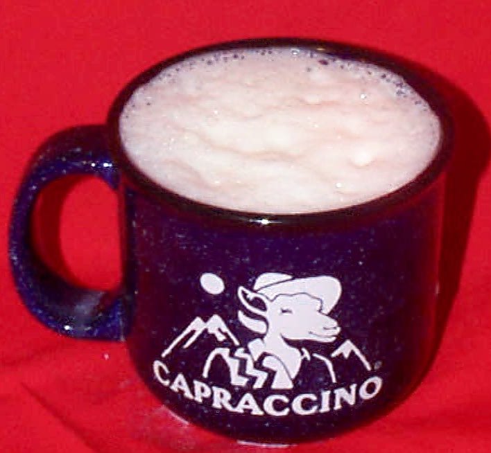 Caprafroth.jpg (61462 bytes)