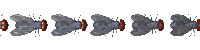 Fliesani.gif (9278 bytes)