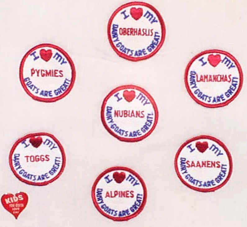 Patches and Pin