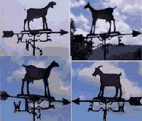4 goat designs!