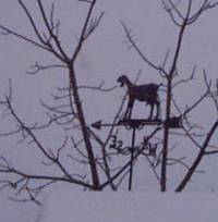 Standing watch!