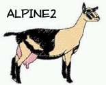 Alpine 2