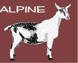 Alpine 