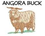 Angora Buck