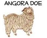Angora Doe