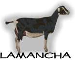 LaMancha