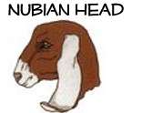 Nubian Head